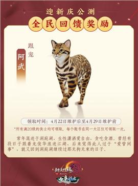 天龙八部私服dbc 中文